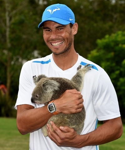 ブリスベン国際初出場のナダル、現地でコアラとたわむれる