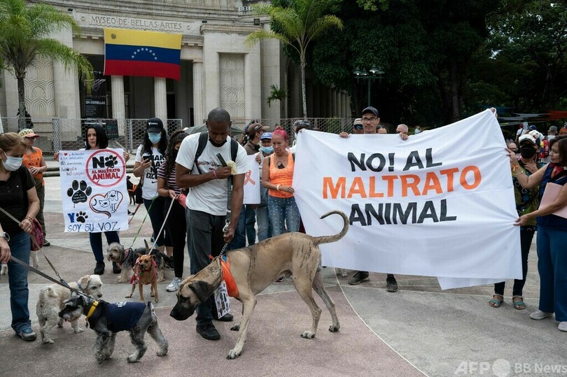 動物虐待の厳罰化を、ペットと一緒に訴え 南米ベネズエラ