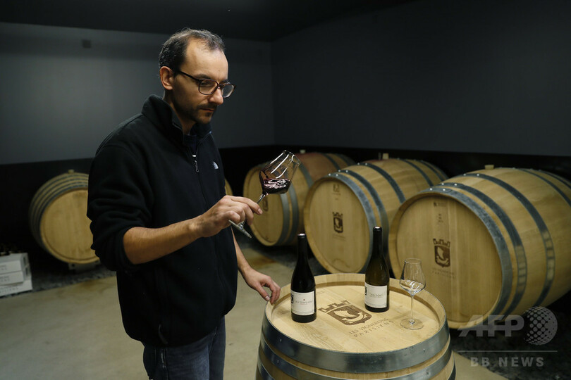 パリ産ワインはいかが？フランスでアーバンワイナリー復興