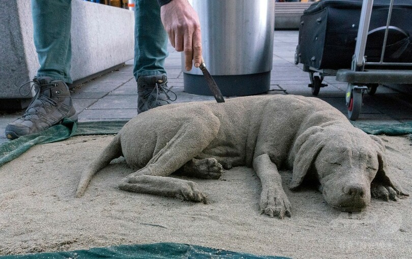 スヤスヤお昼寝、砂でできたワンちゃん オーストリア