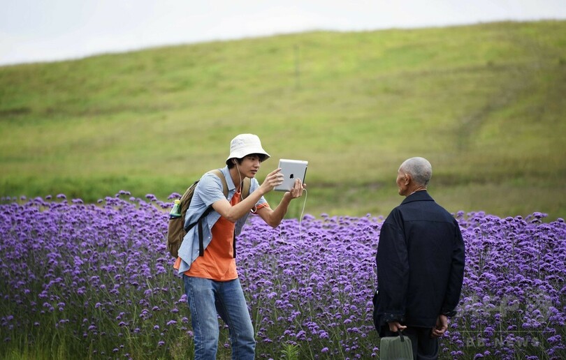 観光客の心奪う一面の紫、貴州