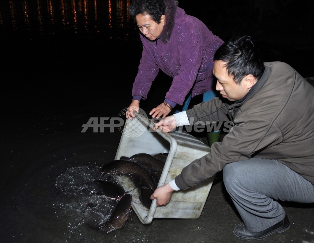 「放生」で毎年大量の鳥や魚が犠牲に、政府が禁止を検討 台湾 「放生」で毎年大量の鳥や魚が犠牲に、政府が禁止を検討 台湾