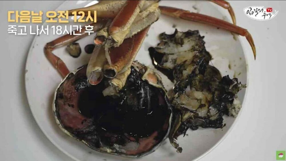 室温で20時間「黒変」ズワイガニ、韓国の魚類コラムニスト「コクが