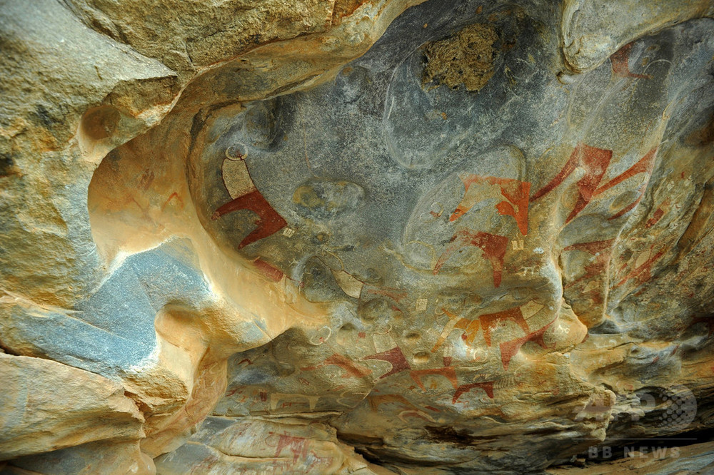 洞窟の絵 世界最古」4万5500年前のイノシシ壁画 インドネシアで発見 - BBCニュース