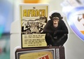 韓国・ソウル（Seoul）のコンビニエンスストアで販売されるたばこ「ディス・アフリカ（This Africa）」の広告パネル（2013年10月23日撮影）。(c)AFP/JUNG YEON-JE