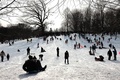 雪が積もったニューヨーク市のブルックリン地区にあるプロスペクト公園で雪遊びを楽しむ人たち（2015年1月27日撮影）。(c)AFP/Getty Images/Spencer Platt