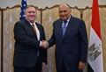 エジプト・カイロで、同国のサメハ・ハッサン・シュクリ外相（右）と握手を交わすマイク・ポンペオ米国務長官（2019年1月10日撮影）。(c)ANDREW CABALLERO-REYNOLDS / POOL / AFP