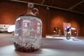 米ロサンゼルスの「ディスガスティングフード・ミュージアム」で展示されている、中国のネズミを漬け込んだ酒（2018年12月6日撮影）。(c)Robyn Beck / AFP