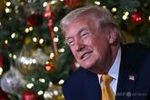 トランプ氏のクリスマス・ゴスペル：空爆、祝福 罵倒