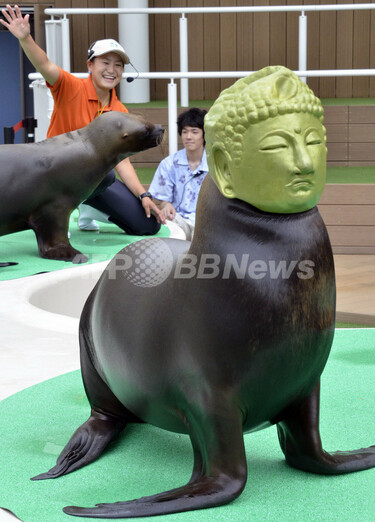 サンシャイン水族館が新装オープン、大仏マスクのアザラシも 写真6枚