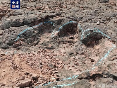 400個以上！ 中国雲南省禄豊で1億2000万年前の恐竜足跡化石群を発見