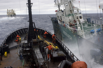 「衝突はまた起こるだろう」、シー・シェパード