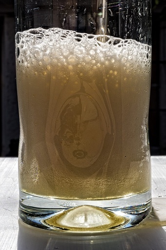 5000年前のビール、出土の陶器から痕跡発見 中国