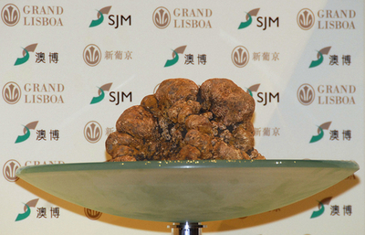 世界最大級のトリュフ、マカオのカジノ王が3700万円で落札