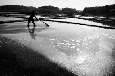 米国、韓国「天日塩」輸入禁止措置…「強制労働」疑惑で制裁