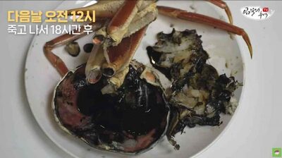 室温で20時間「黒変」ズワイガニ、韓国の魚類コラムニスト「コクがすごい」という意外な評価だが……