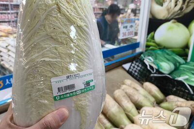 韓国「高すぎる」野菜に店も客も尻込み…「驚異の高値」白菜、ピンチヒッターは「中国産」