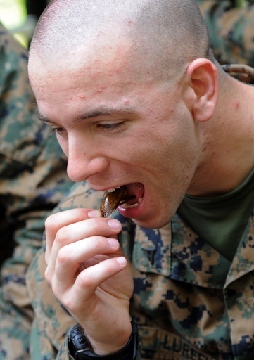 虫は未来の食糧源、国連FAOが報告書