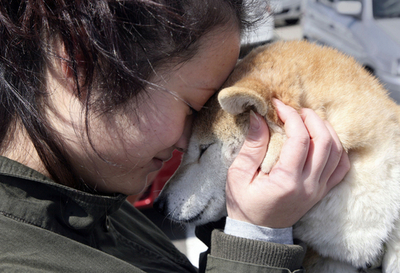 死者・不明者2万4000人超す、東北地方太平洋沖地震
