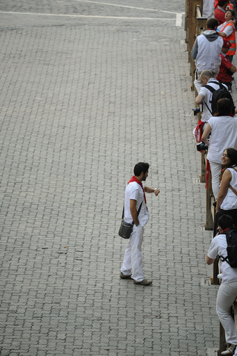 古参も新参者も取りつかれる牛追いのスリル スペイン