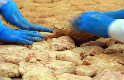 EU域外へのフォアグラ輸出再開目前に鳥インフル、業者に打撃 仏