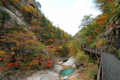 紅葉を楽しみに来たのに、登山道で大音量…韓国・スピーカーを持ち歩く登山客に不満の声