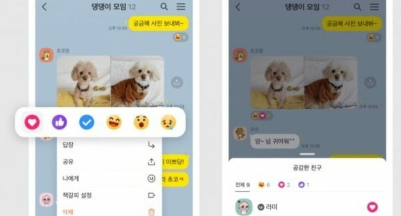 カカオトークのリアクション機能の例示画面（写真=カカオ）(c)MONEYTODAY