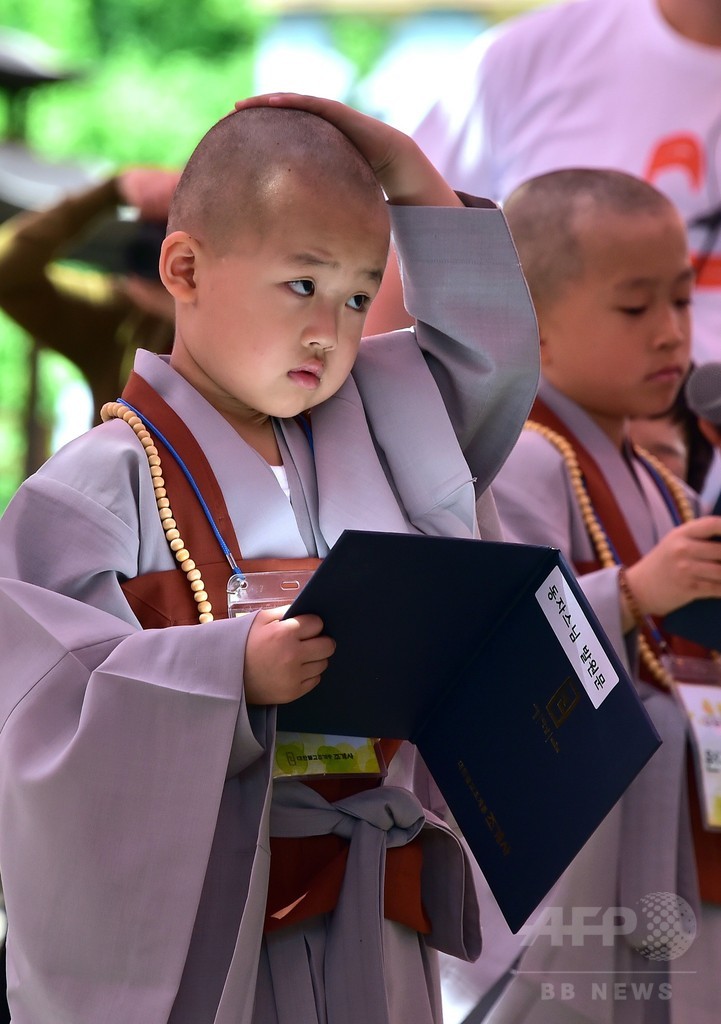 釈迦誕生日までの修行 頭丸める子どもたち 韓国 写真8枚 国際ニュース Afpbb News