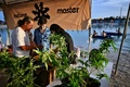 タイ中部ナコンパトム県で開催された大麻の合法化を祝うイベント「タイランド420: リーガルレーオ⁉」の様子（2022年6月11日撮影）。(c)Lillian SUWANRUMPHA / AFP