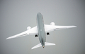 英南部のハンプシャー（Hampshire）で9日、ファンボロー国際航空ショー（Farnborough International Airshow）が開幕した。債務に苦しむ各国政府が軍事費を削減している中、今回のショーで発表される軍用機の大型契約は少ないとみられる。

写真は、デモ飛行する米航空機大手ボーイング（Boeing）の新世代旅客機「ボーイング787ドリームライナー（Boeing 787 Dreamliner）」（2012年7月9日撮影）。(c)AFP/ADRIAN DENNIS