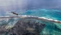 モーリシャスの上空から撮影した、貨物船わかしおから漏出した燃料が広がる海面（2020年8月6日撮影）。(c)AFP