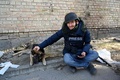 ウクライナで取材中、野良犬をなでるAFP通信のジャーナリスト、アルマン・ソルディン氏（2022年3月12日撮影）。(c)Sergei SUPINSKY / AFP)