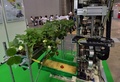 農家の人たちが眠っている間に熟したイチゴを収穫してくれるロボットが25日、都内で開催された自動認識総合展（AutoID and Communication Expo）で公開された。開発者によると、農家の作業量は3分の2に軽減されるという。

機械メーカーのシブヤ精機（Shibuya Seiki）と食料や農業、農村に関連した研究活動を行う農研機構（National Agriculture and Food Research Organisation）が出展した全長2メートルのロボットは、畝の間に敷いたレール上を移動しながら作業し、8秒に1個のイチゴを摘み取ることができる。

また、収穫に適しているイチゴを選ぶためのカメラが3台装備されており、イチゴの状態を確認した上でアームを出して摘み、かごに入れていく（2013年9月25日撮影）。(c)AFP/Yoshikazu TSUNO