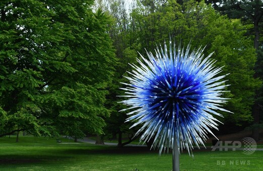 植物園を彩るガラスの彫刻、チフーリ氏展覧会 米NY 写真21枚