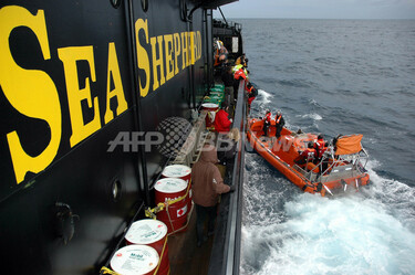シー・シェパード船も燃料切れ、反捕鯨活動中止へ 写真1枚 国際