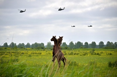 【今日の1枚】戦闘ヘリコプターに牛馬驚く？ フランス
