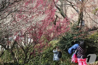 済州ではなく日本・東南アジアへ、韓国観光客急減…業界ダメージ、緊急対策を模索