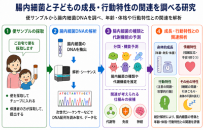 【三重大学・金沢工業大学】子どもの発達と腸内細菌の関係を探る。日本の未就学児を対象に、成長・行動特性と腸内細菌叢の関連を解析