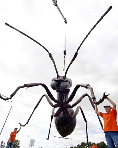 実物の1000倍以上、アリの超巨大模型が出現 ドイツ