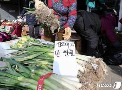 韓国で「長ネギ」天井知らずの高騰…「冷凍保管」「自分で栽培」ネットで活発化する情報交換