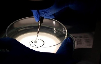 中国の月面探査機「嫦娥6号」が採取したサンプル 月の地質進化解明に手掛かりを提供