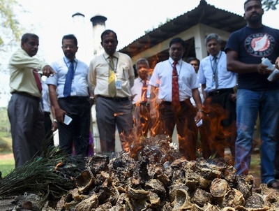 ツバメの巣5000万円分を焼却 違法取引を摘発 スリランカ