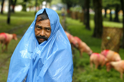 「ひょう」を伴う暴風雨で31人が死亡 - インド