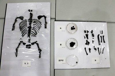 中国・2000年前の国王の墓、当時の王族は何を食べていたか