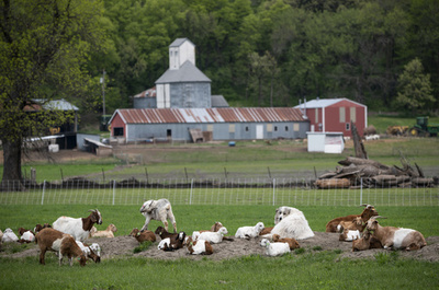 農機に巻き込まれた米男性、ナイフで脚切断して生還