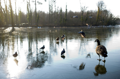 パリ、来夏にも初のヌーディストエリア設置へ 郊外の森など候補