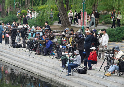 中国の若者が「鳥打ち」サークルに進出 新たなレジャーが流行