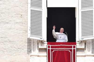 法王、気候変動阻止目指し「ライフスタイルの変更」呼び掛け