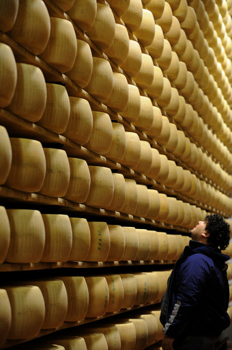 「パルミジャーノ・レッジャーノ」、17年生産量は過去最高 伊