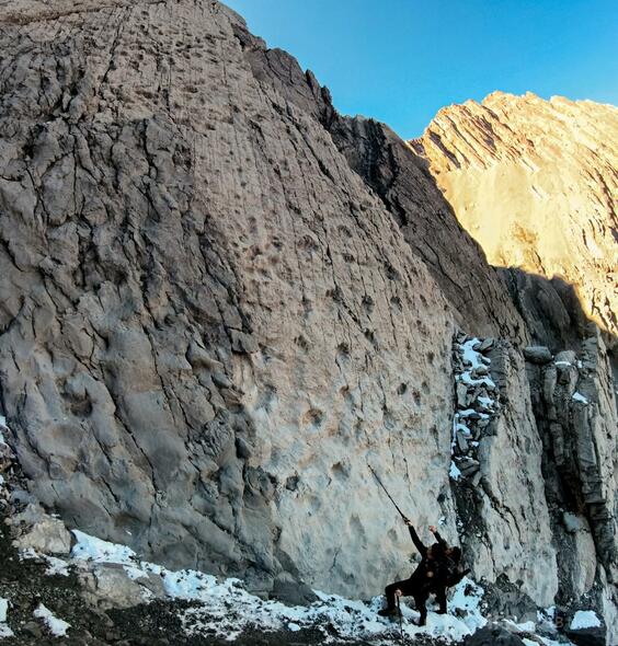 イタリアで発見された「世界最大級」恐竜の足跡群 写真公開